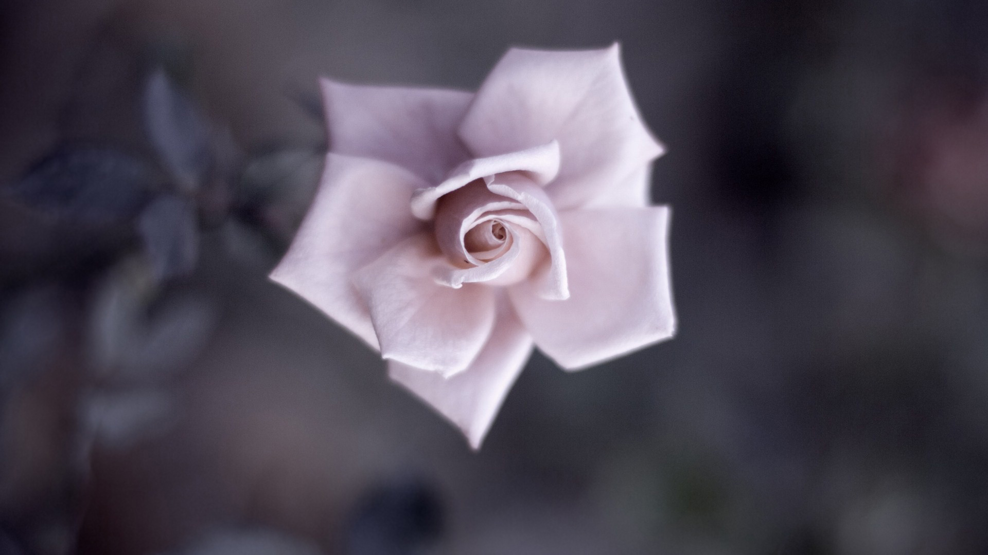 什么是夫妻?(很真实)