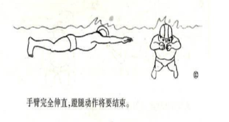 蛙泳换气口诀四句话