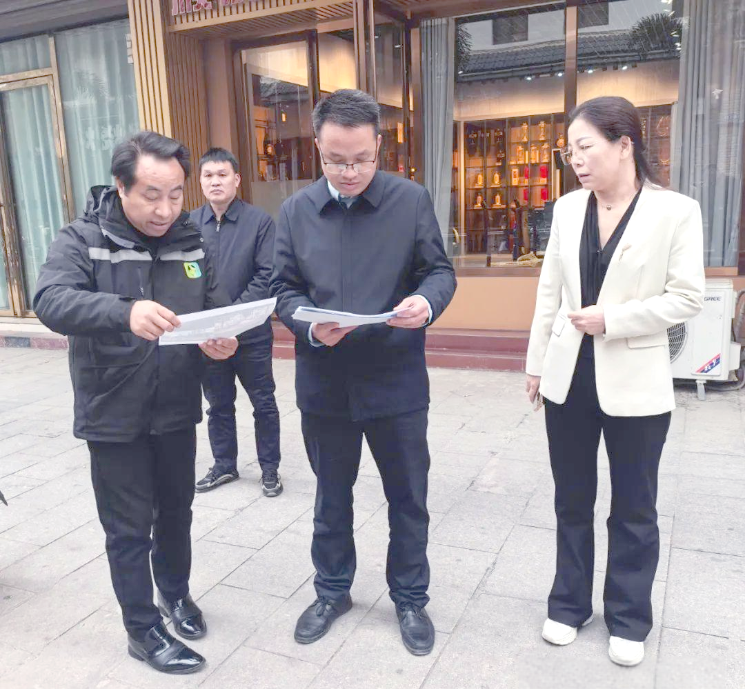 韦建明调研田林县城市建设,强调绿色发展与民生规划