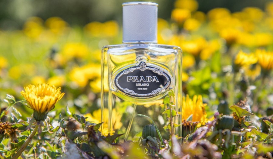 经典木质香调雪松调有哪些好闻的香水?