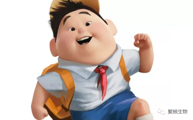 孩子胖都是爸妈的错?nmn或成为减肥良药,肥胖会导致心血管疾病