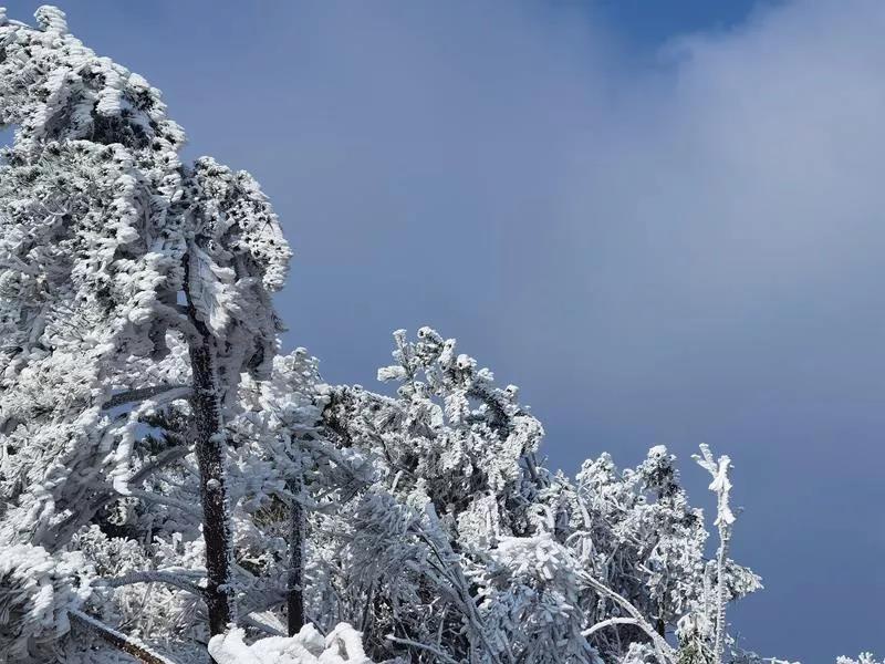 温州四海山雪图片
