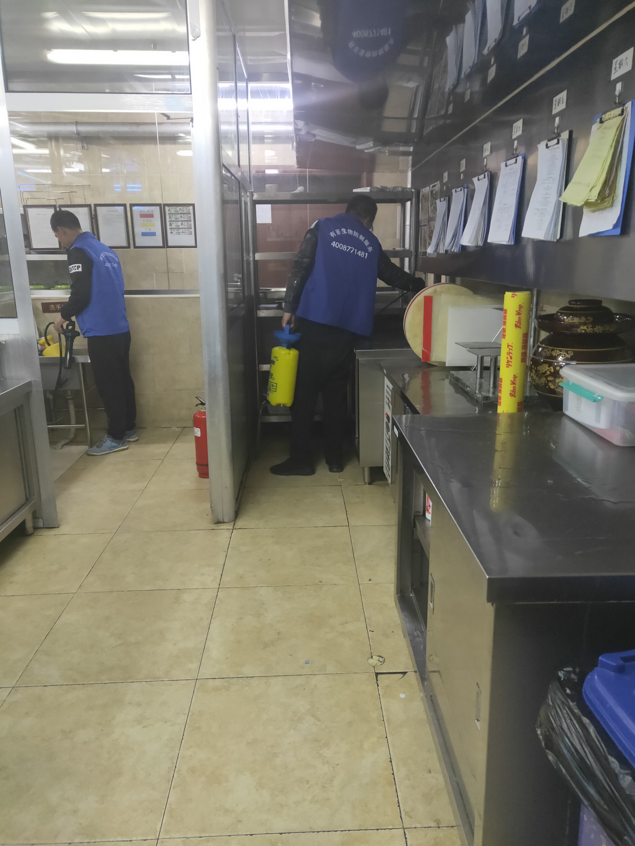 北京灭四害公司告诉你除四害具体的重要性及意义