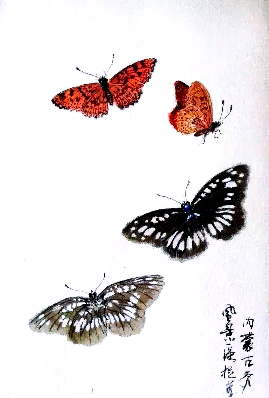 国画中的蝴蝶:文化与艺术的交融