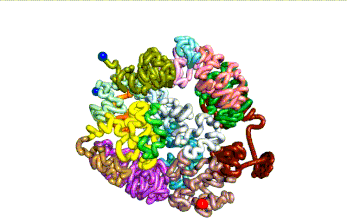 真核细胞,真核细胞结构图 真核细胞,真核细胞结构图