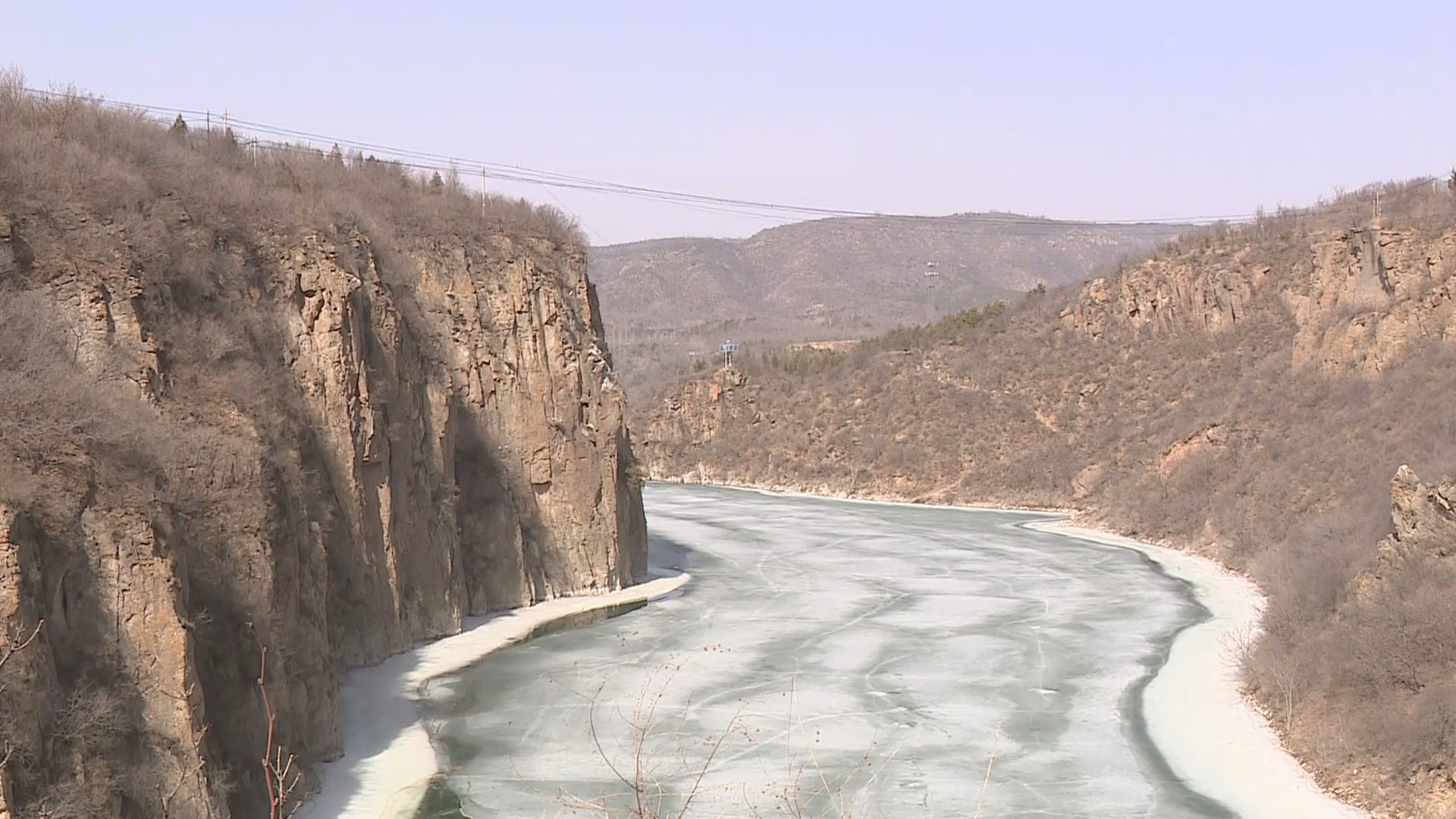 北京延庆区白河堡水库迎来大批北归苍鹭