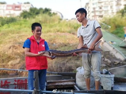 青年人是这样保护长江的