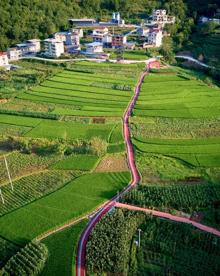 美麗中國·美好生活·安逸四川 ‖ 稻田,綠道,彩繪牆!