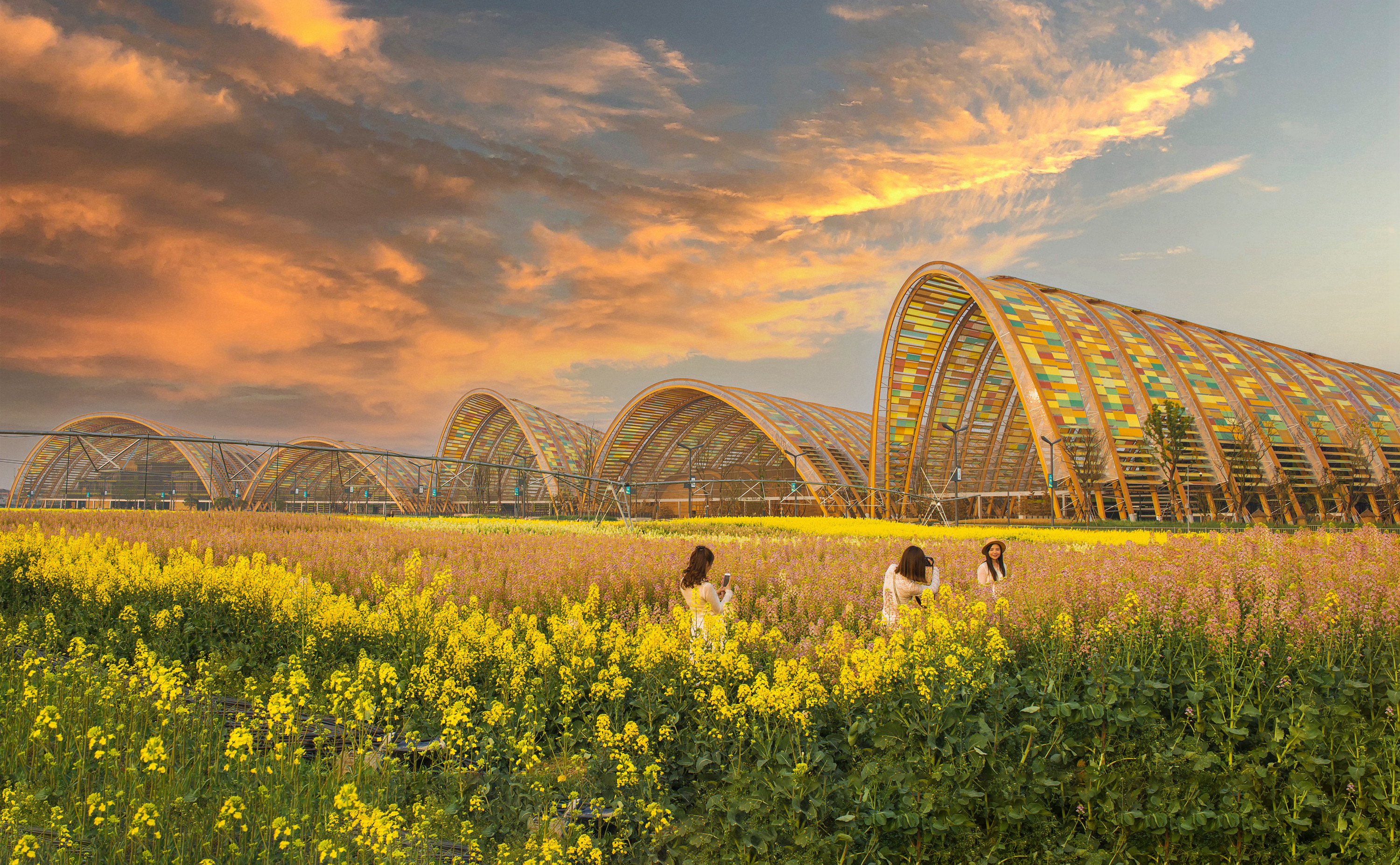 "大运之城"面面观|成都新津区:水上"速度与激情"古今传承