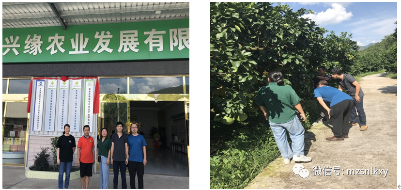 广东省农业科学院果树,植保,土肥产业服务团队赴梅州开展科技对接活动