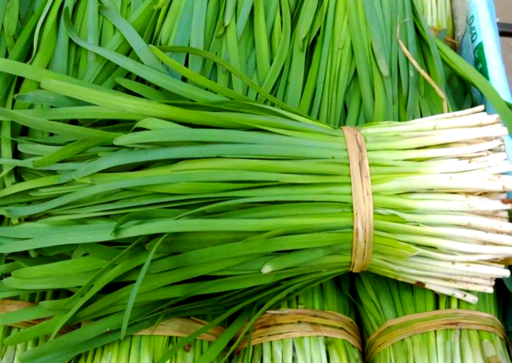 韭菜挑选指南:宽叶与细叶,白根与紫根的口感差异及选购方法
