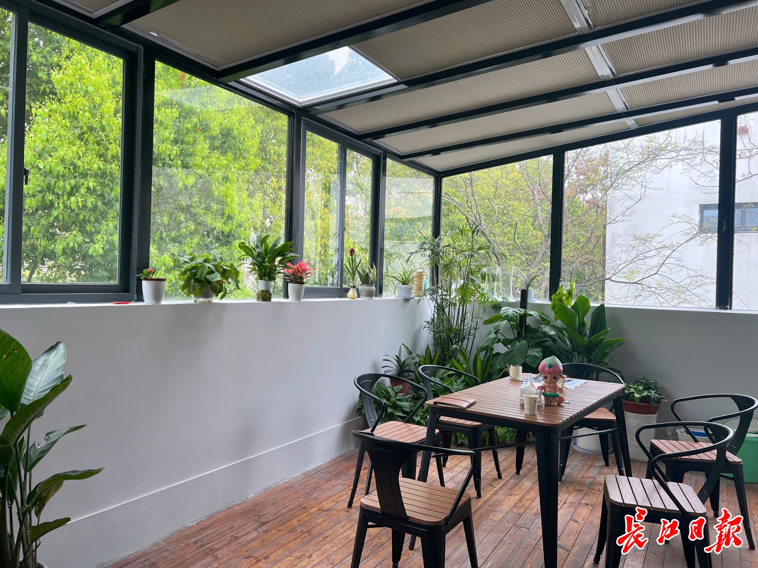 ovu创客星8年孵化500家大学生创业团队