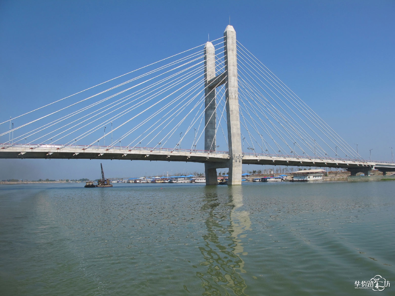 固城湖大桥图片