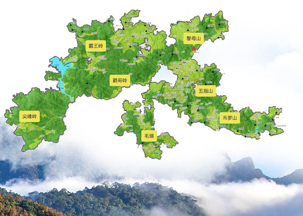 想深度游海南热带雨林国家公园?你还缺这份超全攻略!