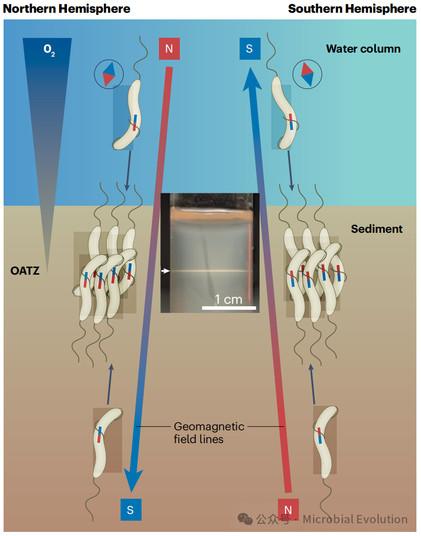 nature reviews microbiology