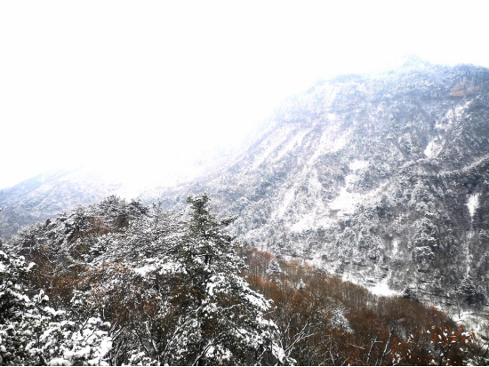 四川米仓山自然保护区雪景美如画