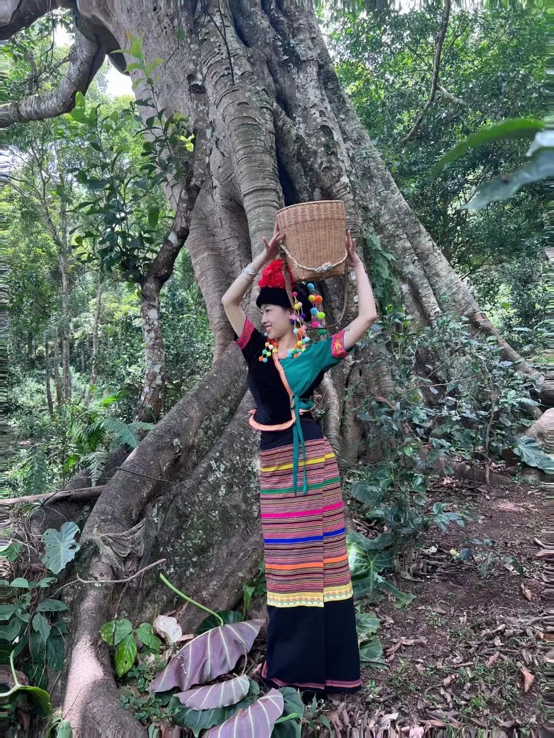 乡愁普洱丨惊艳!景迈山上布朗族的穿搭