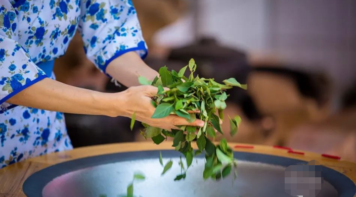 翼城:连翘茶"连"出村民致富路