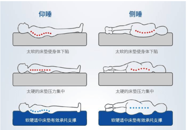 睡觉也腰痛?是睡软床好,还是硬床好?