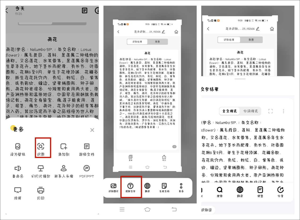 手机如何识别图片文字?分享手机识别文字的方法