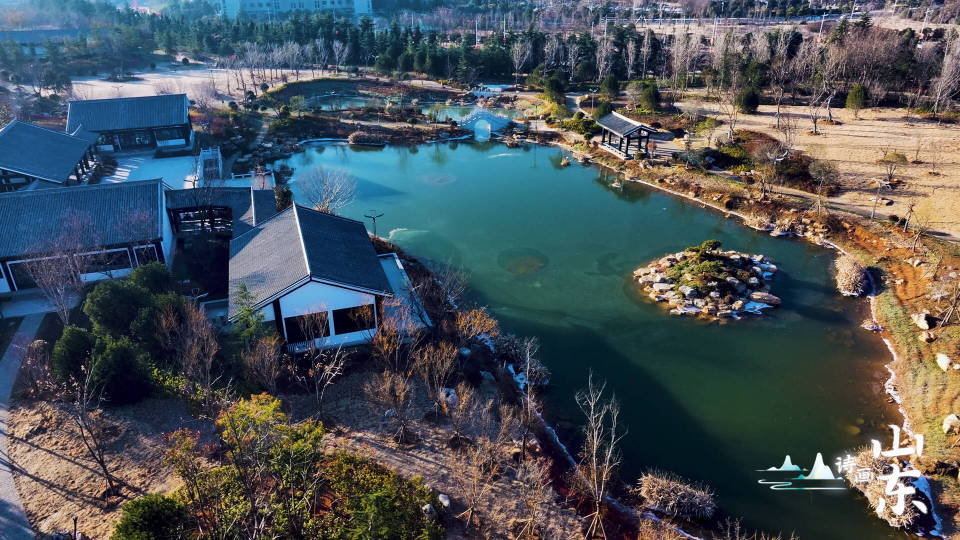 诗画山东丨枣庄凤鸣公园冬日别样美 垂柳斑斓入画来