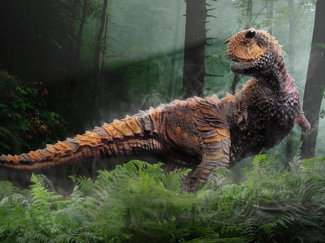 在6500万年前,恐龙毁灭时有多痛苦?2公里厚的岩层告诉你