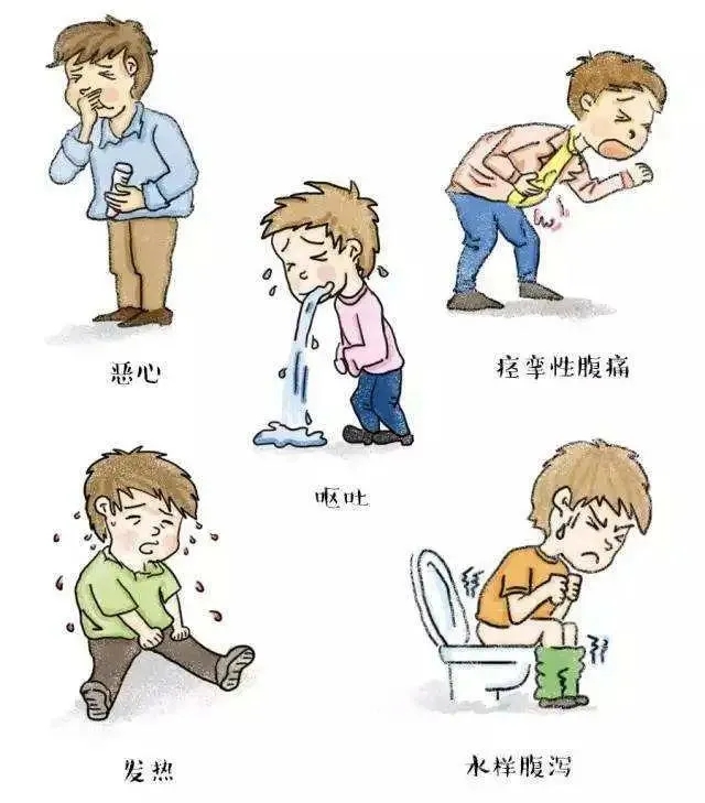 河南封丘学生吃营养餐呕吐腹泻,定性"食源性疾病",那是什么?