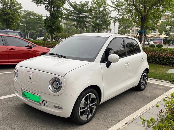 从2021年底开始,欧拉品牌正式启动了这一针对欧拉黑猫车型的三电终身