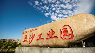 佛山大良镇怎么样『广东佛山顺德大良镇』