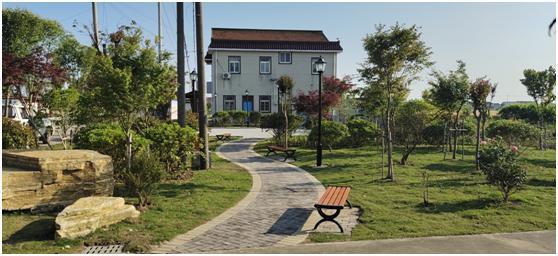 启东寅阳镇:办好人居环境实事,助推美丽乡村"蝶变"