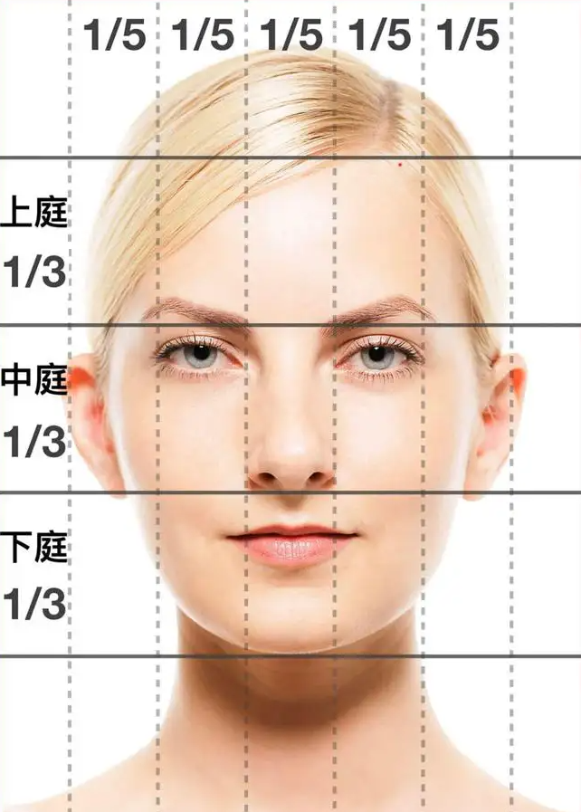 眼部美学标准图图片