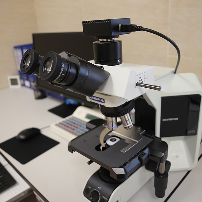 什么是相差显微镜?如何使用相差显微镜?