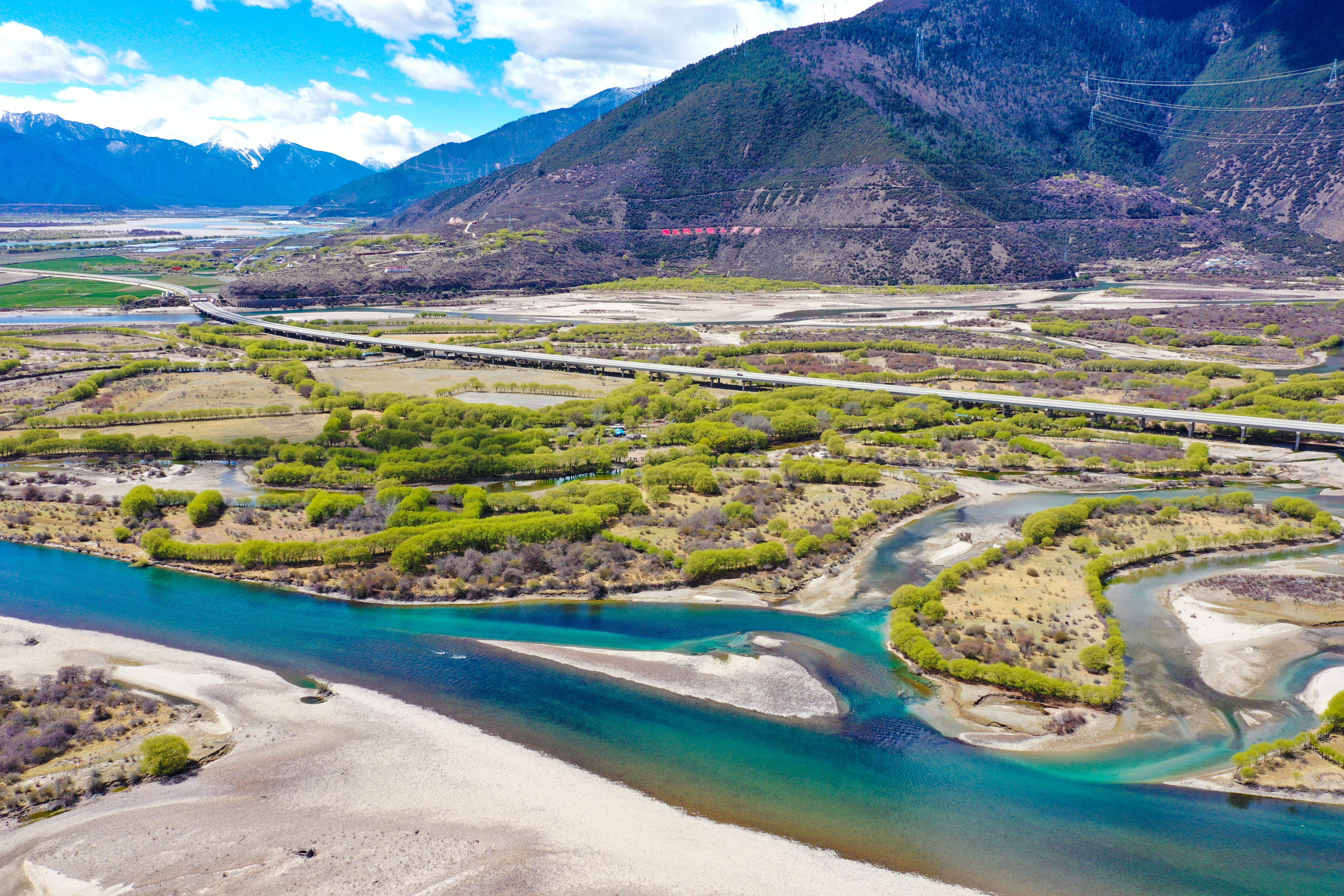 西藏雅尼湿地:昔日荒草滩 今朝绿意浓