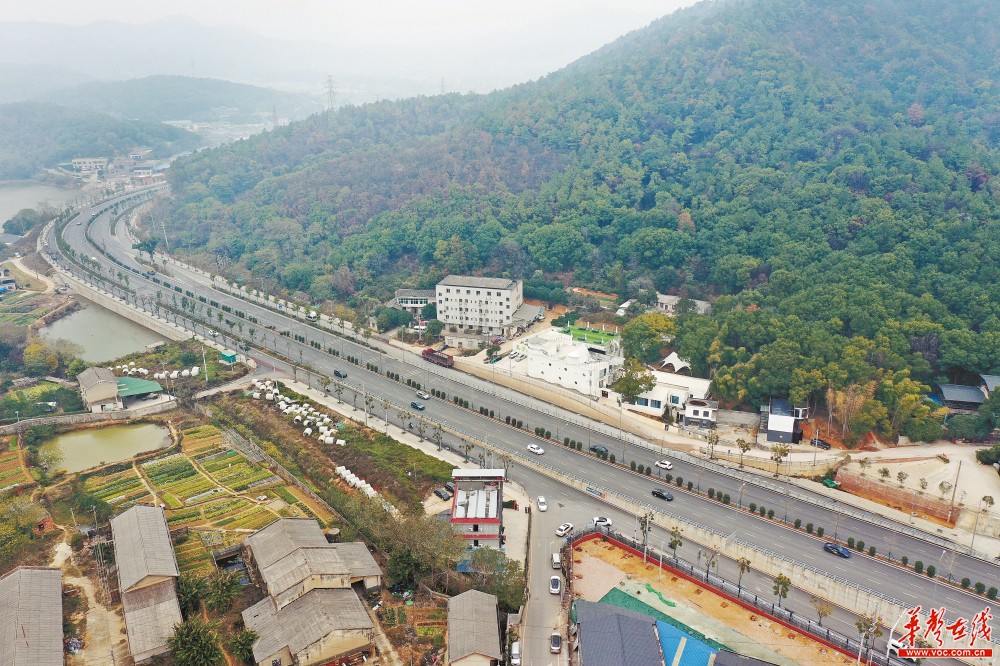 湘江智谷片区交通路网提质升级