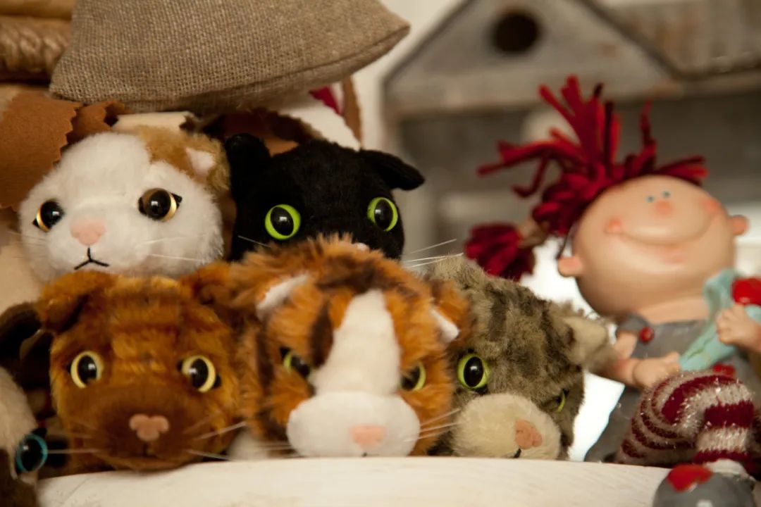 我不阻止你给孩子玩毛绒玩具但这种最好别玩