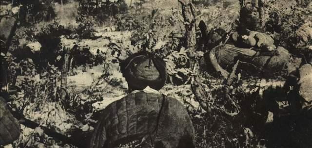 朝鲜战争中志愿军三三五团血战松骨峰,只有六名战士活着