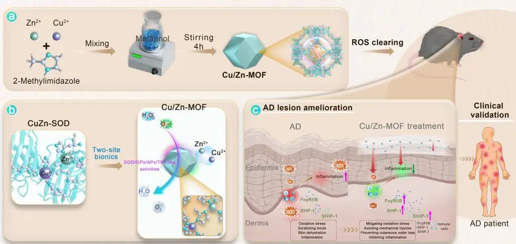 全球首个同济又有新突破
