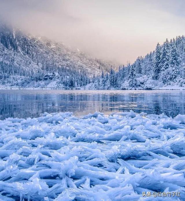 美图赏析|分享一组冬天雪景的美图