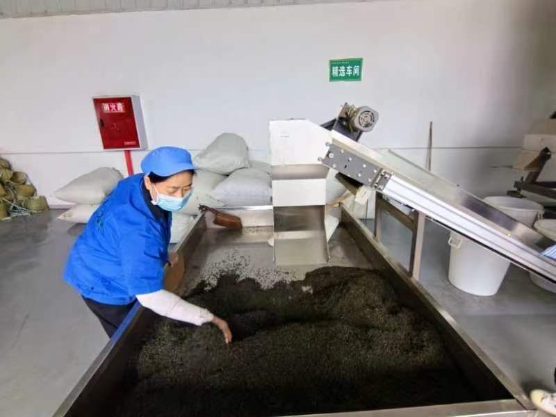 巴中茶叶（巴中茶叶种植基地有哪些） 巴中茶叶（巴中茶叶莳植
基地有哪些）《巴中茶叶种植基地有哪些》 茶叶资讯
