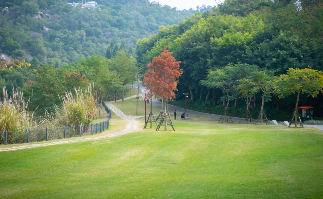 拥抱山野自然上李水库/天竺山说起厦门近几年人气爆棚的春日