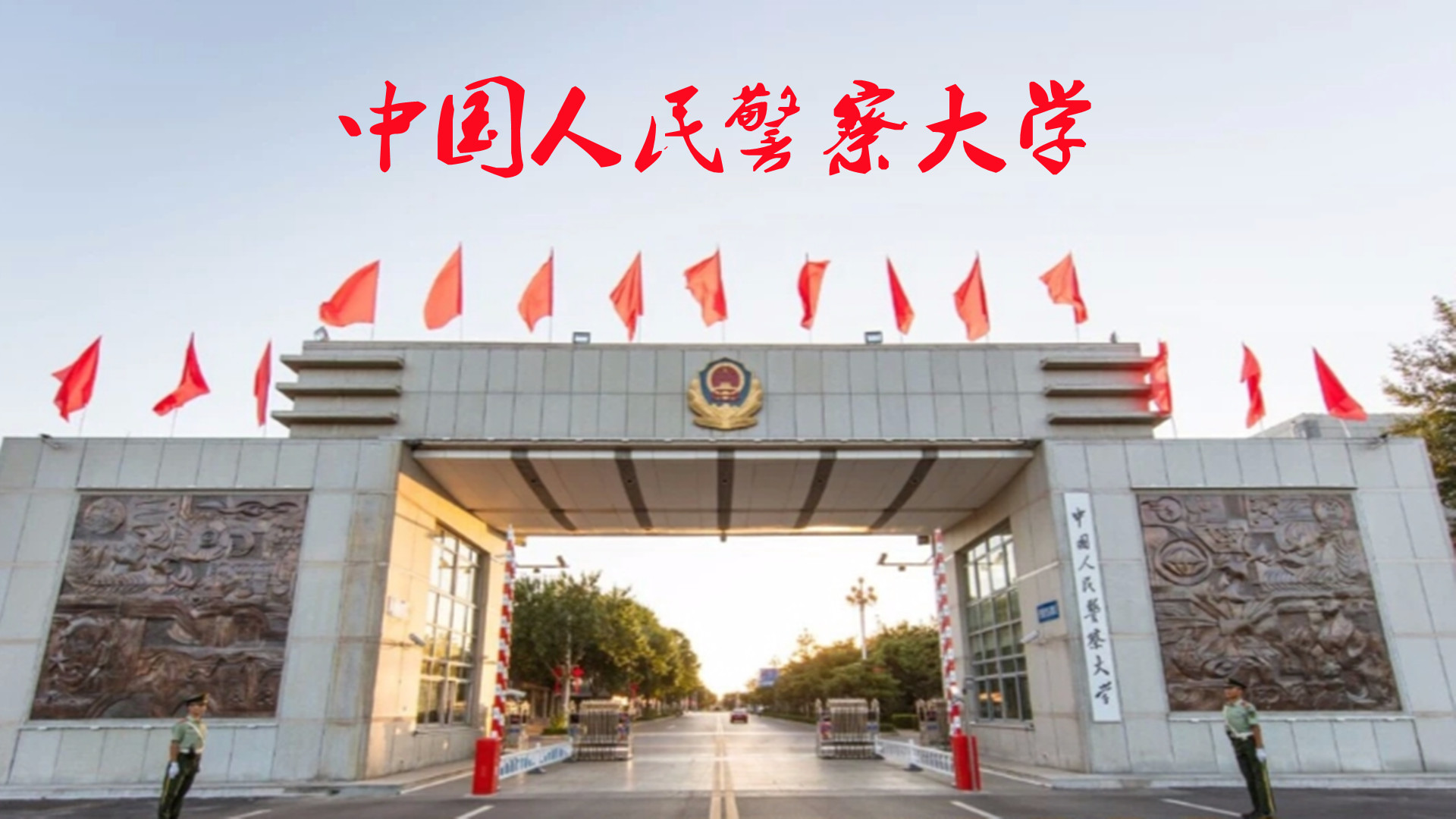 中国特警大学图片