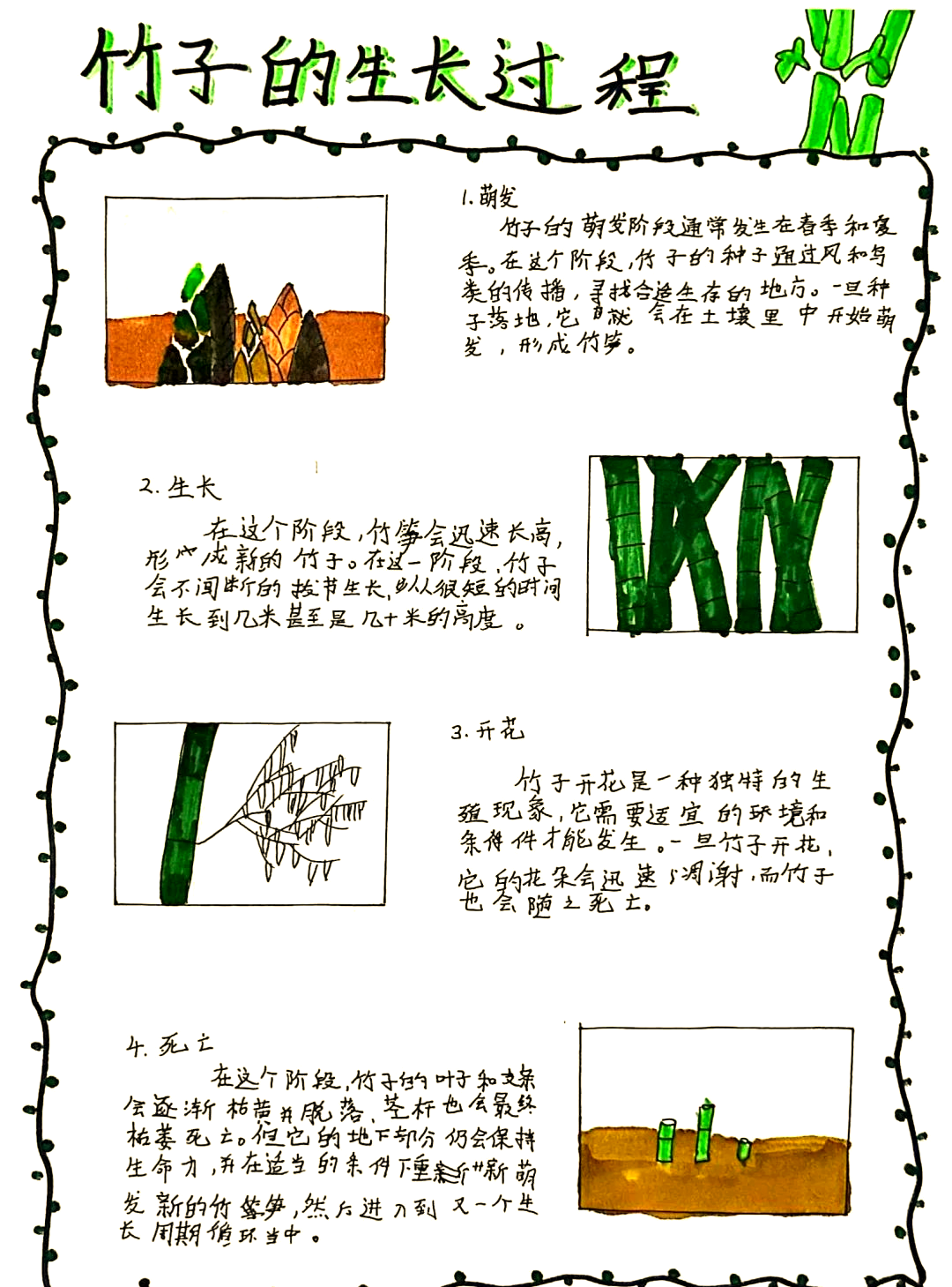 "竹"迹系列课程