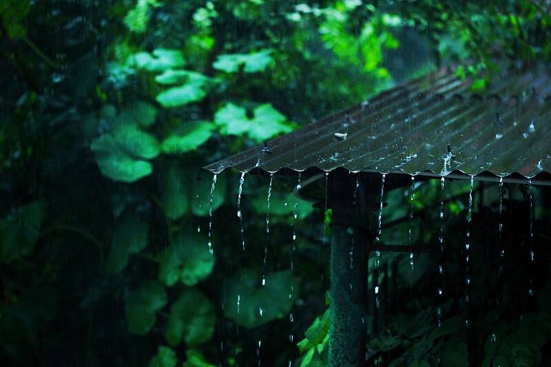 春雨的图片唯美 雨景图片