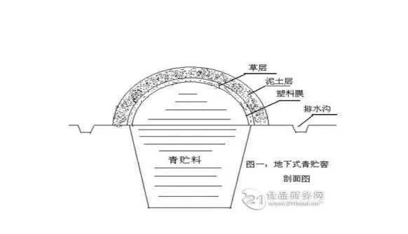 青储窖图纸图片