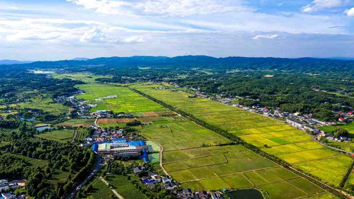 湖南省委表彰乡村振兴与粮食生产先进单位和个人