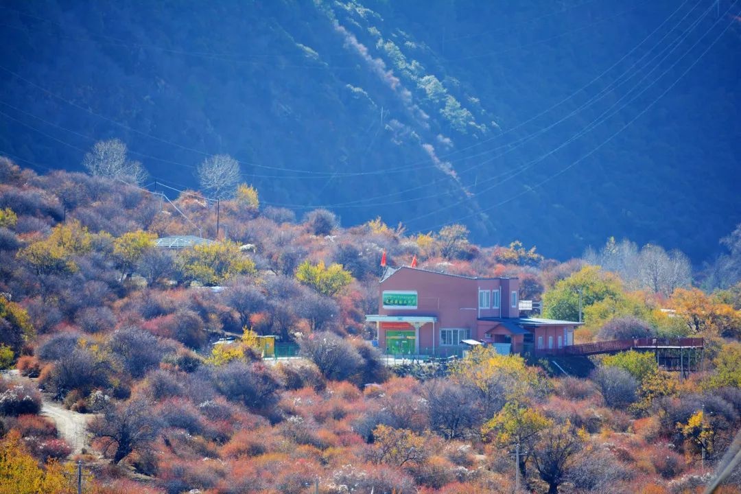 林芝索松村获评首批自治区级边境乡村旅游特色村