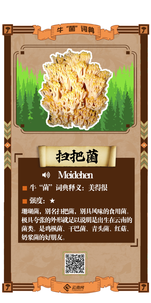 有声海报|野生菌的"英文名"你都知道吗→jier