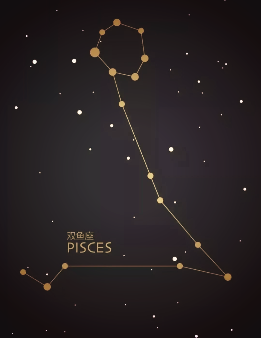 深入了解双鱼座:历史,性格与第六感探秘