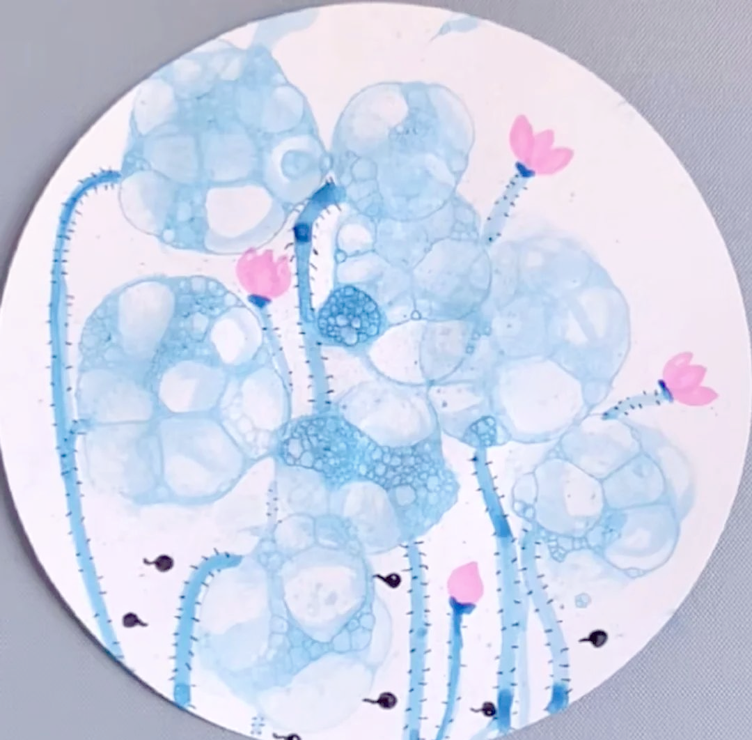 泡泡画:孩子眼中的多彩世界