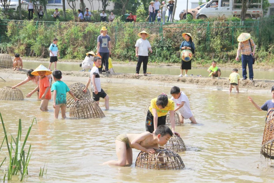 这个旅游日,在宁乡这么玩